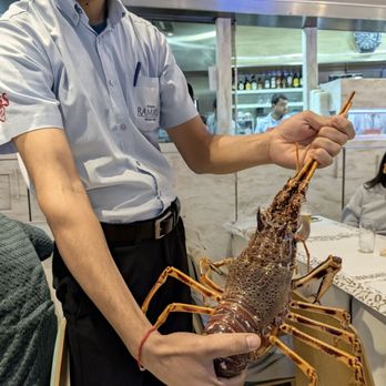 Cervejaria Ramiro - Lobster - Seafood Near Me - Lisbon, 11 Cervejaria Ramiro - Lobster - Seafood Near Me - Lisbon, 11