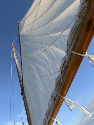 Sail Selina II by null