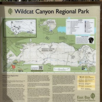 Wildcat Canyon Regional Park - Parks Near Me - Richmond, California Wildcat Canyon Regional Park - Parks Near Me - Richmond, California