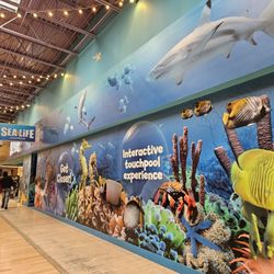 Sea Life Michigan Aquarium - Walking up
