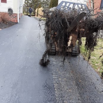 Sarita’s Landscaping - Stump removal - Tree Services Near Me Sarita’s Landscaping - Stump removal - Tree Services Near Me