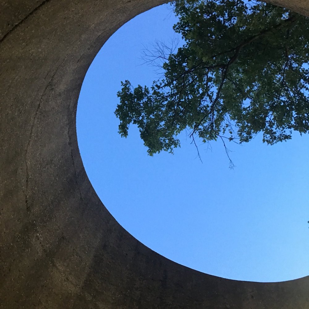 James Madison Park - Looking up through the ladies restroom to the trees. Nice ventilation system! - Parks Near Me - Madison, Wisconsin
