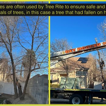 Tree Rite Arborists - Crane being used to extract trees from front yard and the one that fell on the house during the storm. - Tree Services Near Me - Lancaster, California Tree Rite Arborists - Crane being used to extract trees from front yard and the one that fell on the house during the storm. - Tree Services Near Me - Lancaster, California