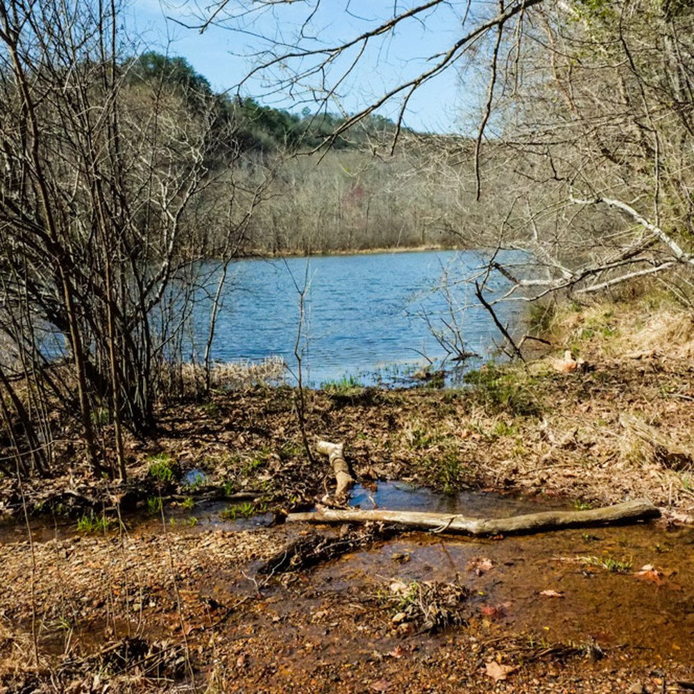 Cooper's Furnace - Hiking Near Me - Cartersville, Georgia Cooper's Furnace - Hiking Near Me - Cartersville, Georgia
