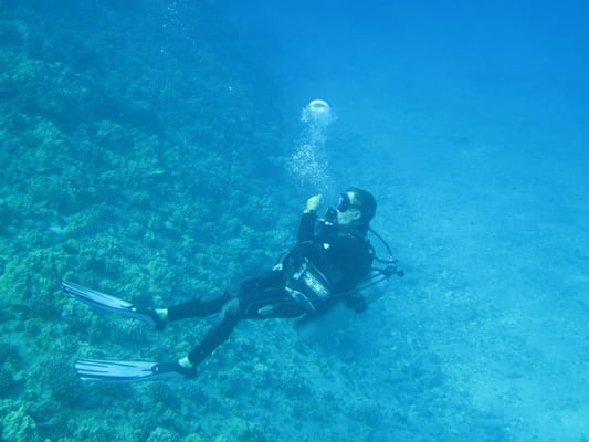 Molokini Crater by null