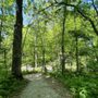 Photo of MacGregor Park