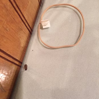 Binh Duong - Stay away from this restaurant! Crawling with roaches! - Vietnamese Near Me - Bloomfield, New Jersey