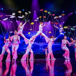 Amazing Acrobats of Shanghai - Call today at 417-336-0888
