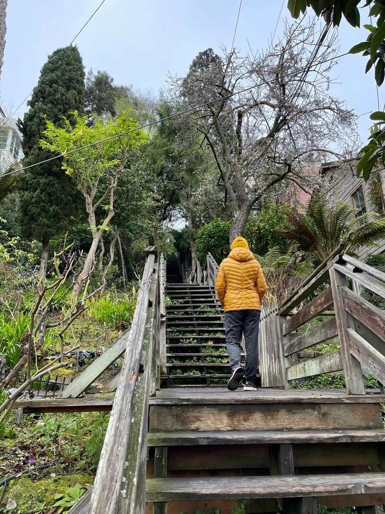 Filbert Sh Filbert Street Steps