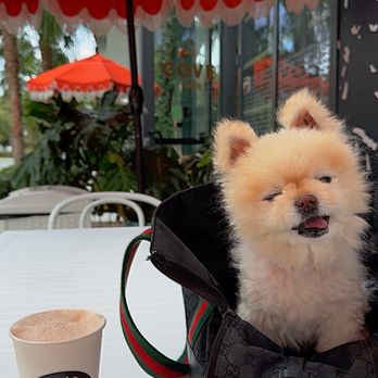 Cove Cafe - Delish coffee&snacks! Ask for Yoyo, he'll treat you right on your first visit! - Coffee & Tea Near Me - West Palm Beach, Florida