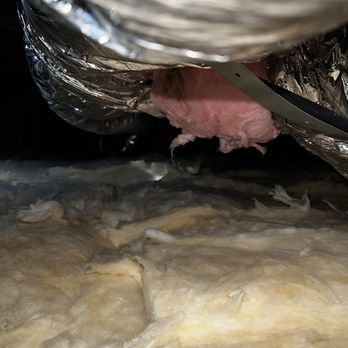 Attic Pros - After - Pest Control Near Me - Oakland, California