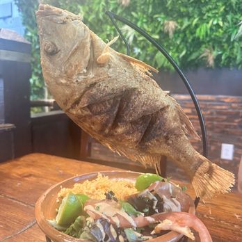 Tulum Mexican Kitchen - Pescado huachinango - Mexican Near Me - San Jose, California Tulum Mexican Kitchen - Pescado huachinango - Mexican Near Me - San Jose, California