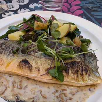 Savotta - Char on mushroom stew. - Scandinavian Near Me - Helsinki, 18 Savotta - Char on mushroom stew. - Scandinavian Near Me - Helsinki, 18