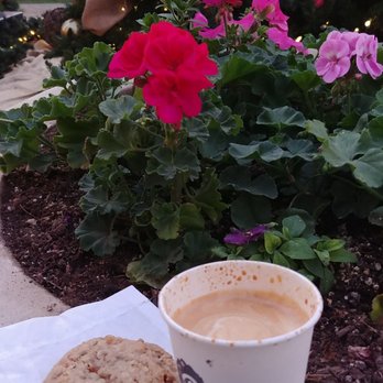 Royal Coffee Bar - Vegan apricot-oat cookie and a Flat White! - Coffee & Tea Near Me - Phoenix, Arizona