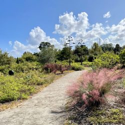 Coastal Georgia Botanical Gardens - Walking paths between landscapes