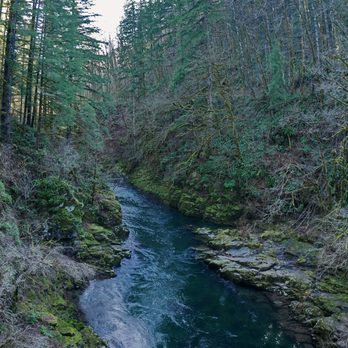 Moulton Falls Regional Park - The view from the bridge - upriver - Hiking Near Me - Yacolt, Washington