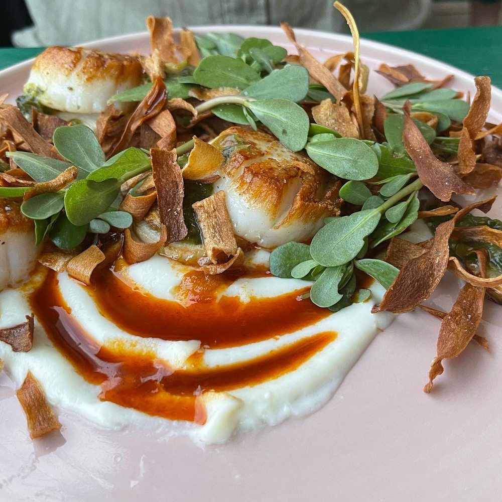 Scallops Scallops