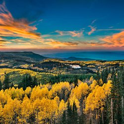 Grand Valley Books - Fall colors on Grand Mesa