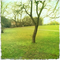Avery Hill Park