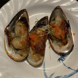 Green Mussels Green Mussels