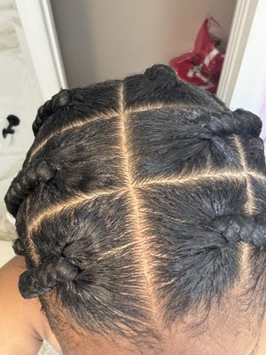 Braids Experts By MIMI by null