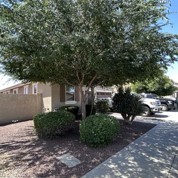 Roberts Landscaping Services - Landscaping Near Me