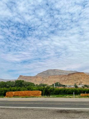 Clark Family Orchards by null