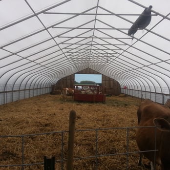 Ty Llwyd Farm - The greenhouse - Farmers Market Near Me - Riverhead, New York