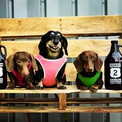 North 2 South Cider Works - Pet / Kid Friendly!