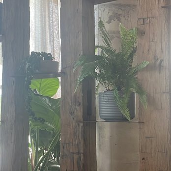 MILA Restaurant - Mediterranean Near Me - Miami Beach, Florida