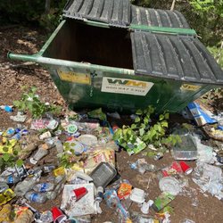 Hedgehog Park - Completely empty bin. Must've had a belly ache and spit up a little.