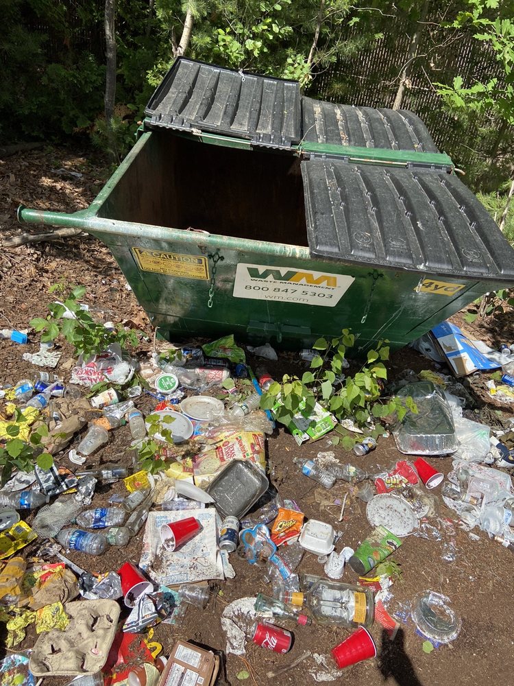 Hedgehog Park Image