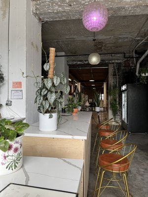 BKE Kombucha by null