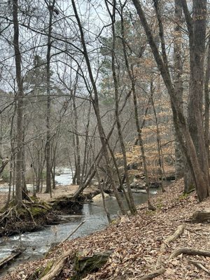 Sweetwater Creek State Park by null