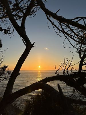 Palos Verdes Estates Shoreline Preserve by null
