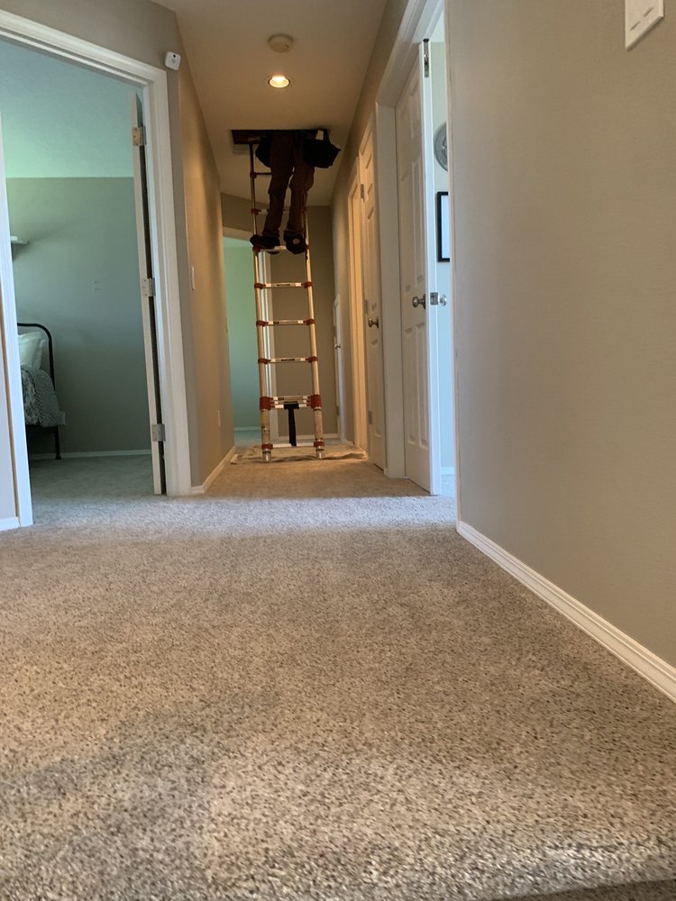 BLUE LADDER HOME INSPECTIONS Updated October 2024 25 Reviews