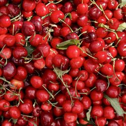 Milpitas Farmers' Market - Cherries from Diaz Farms