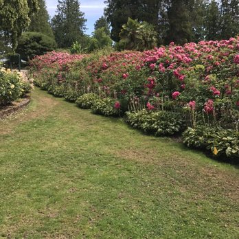 Point Defiance Rose Garden - Botanical Gardens Near Me - Tacoma, Washington