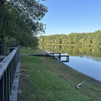 Lake Lowndes State Park - From patio - Parks Near Me - Columbus, Mississippi Lake Lowndes State Park - From patio - Parks Near Me - Columbus, Mississippi