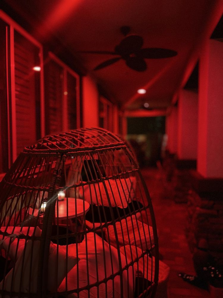 Pablo's Palmas Tree & Landscaping Services - tree service in Las Vegas, NV