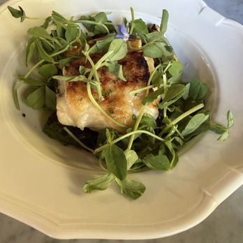 The Madrona - Miso Halibut  8/10 - Hotels Near Me - Healdsburg, California