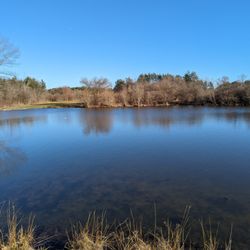 Bellamy River Wildlife Sanctuary