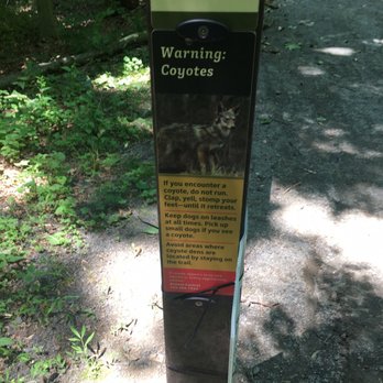 Daniels Run Park - Coyotes? - Parks Near Me - Fairfax, Virginia