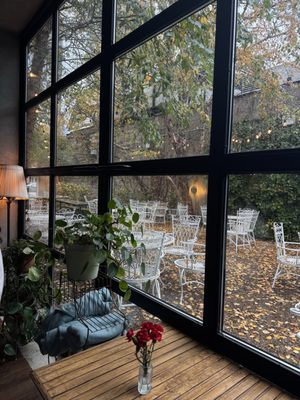 Milk & Roses by null