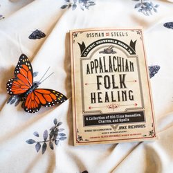 The Curated Hollow