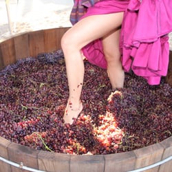 Fullerton Uncorked - DIY Wine