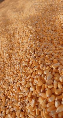 Apple Jack Orchards by null