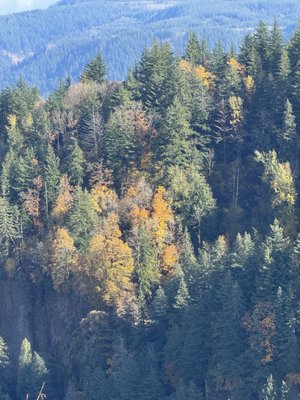 Portland Women's Forum State Scenic Viewpoint by null