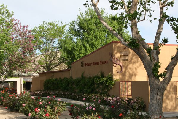 Hi-Desert Nature Museum by null