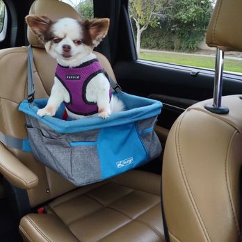 Petco - Pet Stores Near Me - Clovis, California